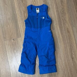 The North Face Kids Vibrant Blue Overalls